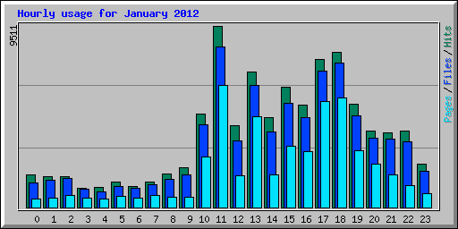 Hourly usage for January 2012